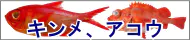 キンメ アコウ特集トップ キンメ アコウ特集トップ