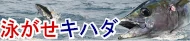 フカセ、泳がせキハダ特集トップ フカセ、泳がせキハダ特集トップ