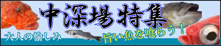 中深場特集 中深場特集