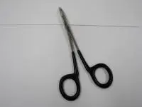 烏賊墨袋つまんでポイ 烏賊墨袋つまんでポイ