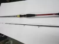 アナリスタータチウオテンヤ瀬戸内175 アナリスタータチウオテンヤ瀬戸内175