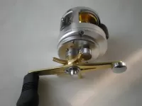 カルカッタ401F (左) カルカッタ401F (左)