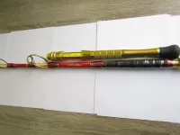 剛樹アバリスモロコSS 剛樹アバリスモロコSS