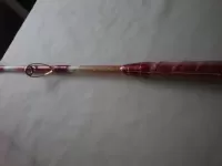 剛樹マダイリミテッド S255 剛樹マダイリミテッド S255