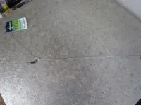 LT天秤 LT天秤