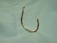 インターフック モロコ.カンナギ銀35号 インターフック モロコ.カンナギ銀35号