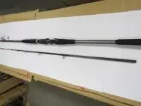 メタリアヤリイカ82_175 メタリアヤリイカ82_175