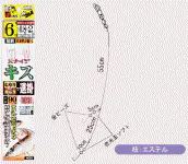 スナイプキス速掛 2本針 スナイプキス速掛 2本針