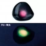 桜幻遊動鯛テンヤオウゲンブラック 桜幻遊動鯛テンヤオウゲンブラック