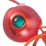 TGヘッドサンセットオレンジ TGヘッドサンセットオレンジ