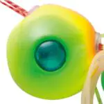 TGヘッドトリプルチャート TGヘッドトリプルチャート