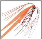 無双真鯛フリースライドロングストレート ラバー&フックセット赤海老 無双真鯛フリースライドロングストレート ラバー&フックセット赤海老