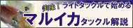 マルイカ特集 マルイカ特集