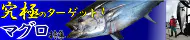 マグロ特集 マグロ特集