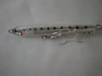 オーバーゼア スキッピング クリアイワシ オーバーゼア スキッピング クリアイワシ