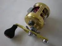 ミリオネア250 ミリオネア250