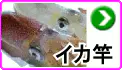 イカ竿 イカ竿