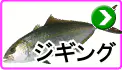 ジギング ジギング