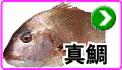 真鯛リール 真鯛リール
