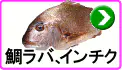 鯛ラバ インチク 鯛ラバ インチク