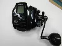 2020 フォースマスター600 2020 フォースマスター600