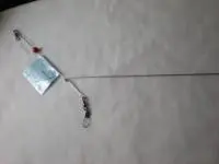 No305 D型 1.6mm×53cm No305 D型 1.6mm×53cm