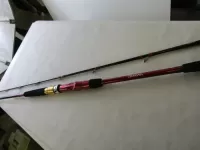 アナリスター アマダイ 205 アナリスター アマダイ 205