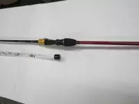 アナリスターマルイカマルチ アナリスターマルイカマルチ