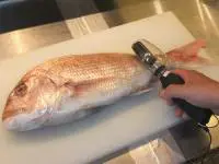 電動ウロコ取り機 電動ウロコ取り機