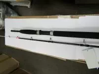 極イカ170 極イカ170