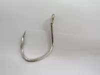 管付クエ(モロコ) 管付クエ(モロコ)