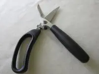 魚さばきハサミ 魚さばきハサミ