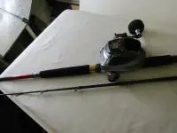 ヤリイカセット ヤリイカセット