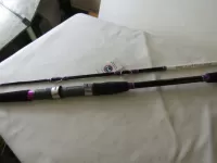 ZEALOT ソリッドLighting195HH ZEALOT ソリッドLighting195HH