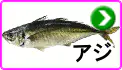 アジ アジ