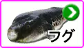 フグ フグ
