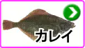 カレイ カレイ