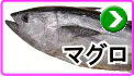 マグロ マグロ