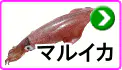 マルイカ マルイカ