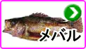 メバル メバル