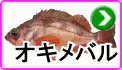 オキメバル オキメバル