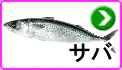 サバ サバ