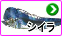 シイラ シイラ
