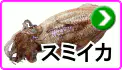 スミイカ スミイカ