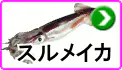 スルメイカ スルメイカ