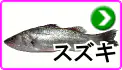 スズキ スズキ