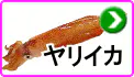 ヤリイカ ヤリイカ