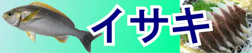 イサキ特集トップ