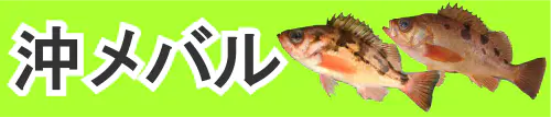 沖メバル釣り特集トップ