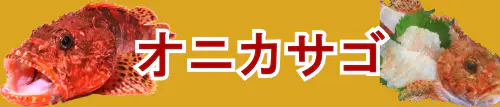 オニカサゴ特集トップ